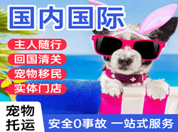 上饶三清山机场空运国际宠物托运 【国